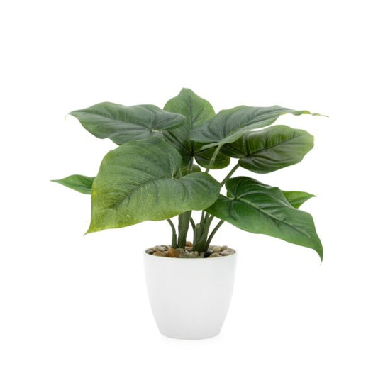 Villa 4.5d” Faux Potted 10″ Plant – Calla Leaf