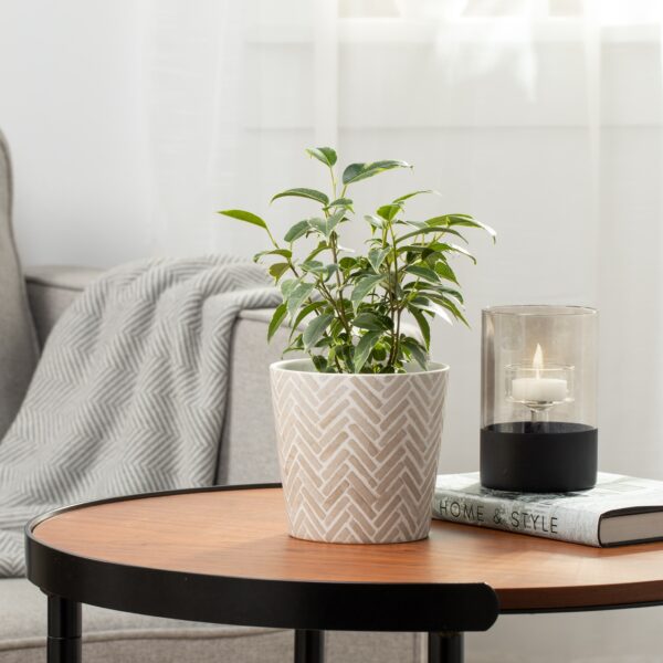 Bergen Herringbone 4.5d” Ceramic Taper Drop Pot Planter