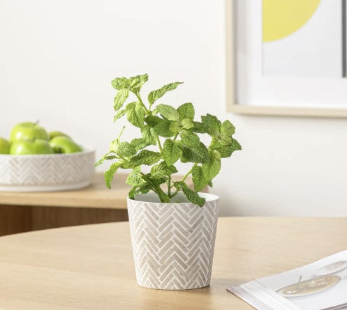 Bergen Herringbone Planter