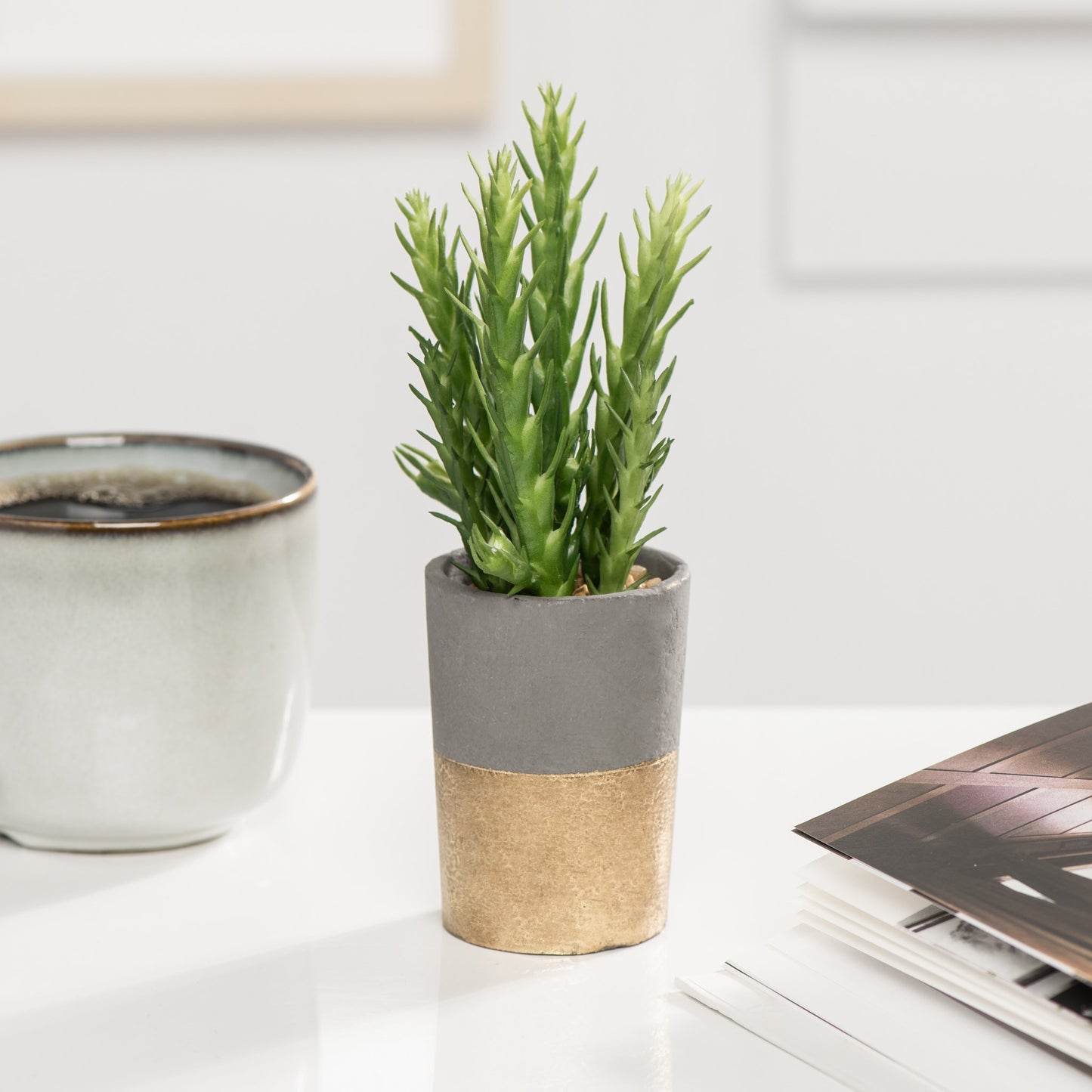 Oro Gold Spike Succulent