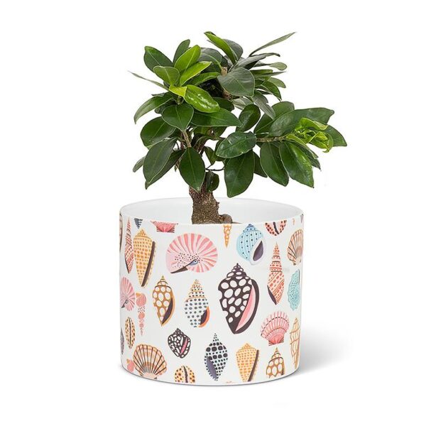 Colourful Shells Small Planter
