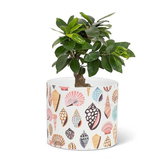 Colourful Shells Small Planter