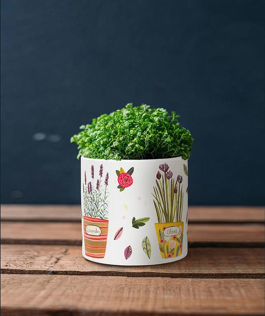 Large Potted Herbs Planter