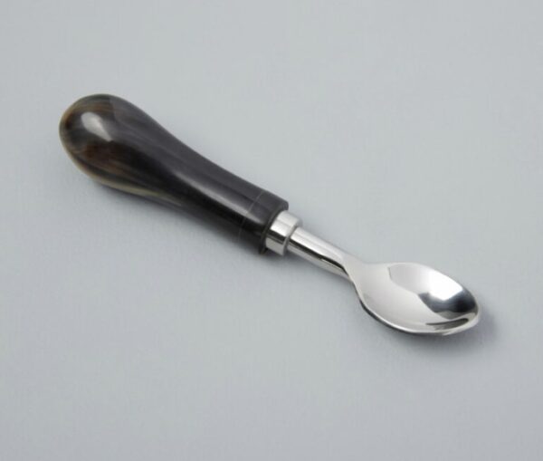 Horn & Stainless Spoon